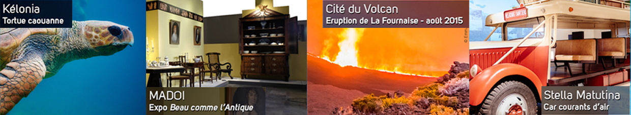 photo blog musée